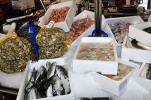 Eels, edible molluscs, octopuses and prawns on the Rialto fish market