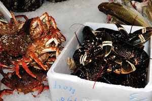 Black lobsters with white dots on the Rialto fish market