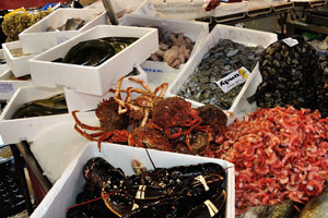 Eels and shellfish, octopuses and prawns, crabs and lobsters are for sale