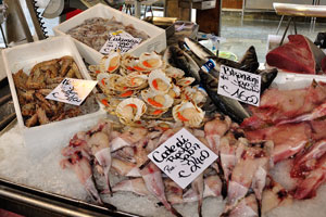 Prawns and scallops, squids and European seabass, monkfish tails