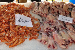 The price of small squids is €18 per kg