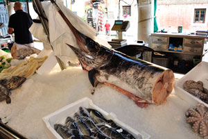Swordfish is on the counter