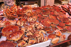 Mediterranean scallops “Pecten jacobaeus” and huge crabs