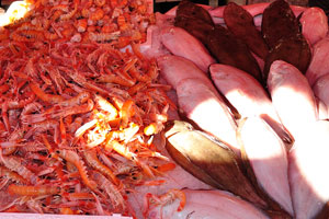 The langoustine “Norway lobster” is on sale