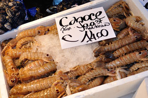 The price of Canoce is €14 per kg