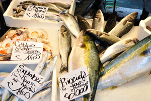The price of Ricciola fish is €20 per kg