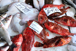 The price of fire orange scorpion fish is €24.80 per kg