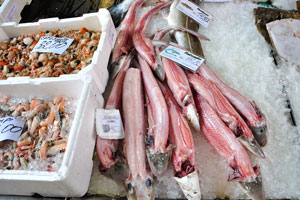The price of palombo fish is €16.80 per kg, the price of merluzzo is €14.80 per kg