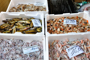 Fish and scallops, squids and shrimps are abundantly present on the Rialto market
