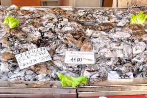 Different cuttlefish species are on sale