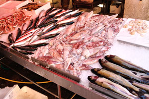 Rialto fish market: fresh squids