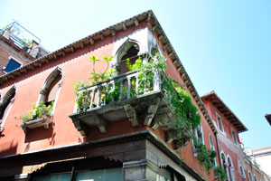 A balcony decorated with the lush greenery on the Calle Sant'Agnese street