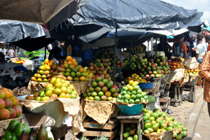 Mango is the main product of the fruit market on Boulevard de la Paix