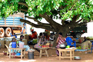 Female vendors are somewhere at the road between Yamoussoukro and Korhogo