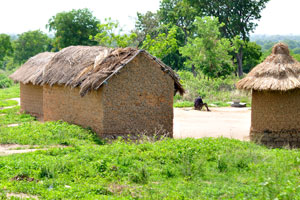 A Senoufo village is located near Korhogo