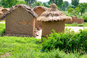 An ordinary Senoufo village