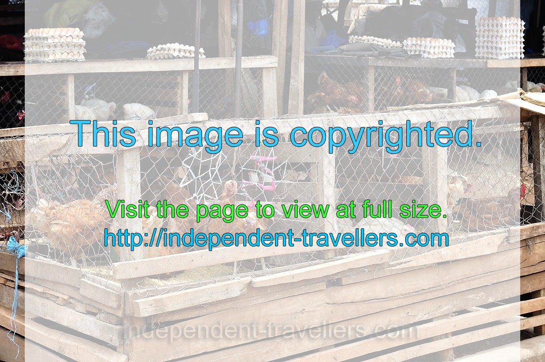 Live hens in cages are for sale at the market of Le Marché de Mô Faitai