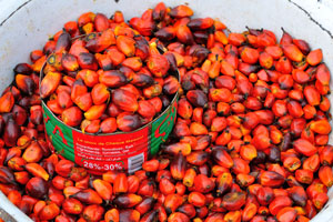 A heap of palm oil seeds is at the market of Le Marché de Mô Faitai