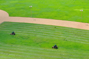 Riding lawn mowers are mowing the grass in the area of Basilica of Our Lady of Peace