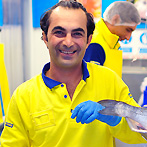 This fish vendor works in METRO Cash & Carry self-service wholesaler