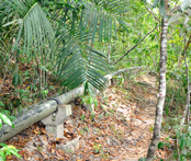 Trail between Cozy Chalet and Mama's Chalet on Besar