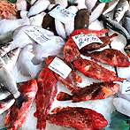 Rialto fish market in Venice