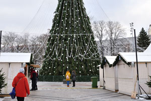 The Christmas tree is installed on Cathedral square