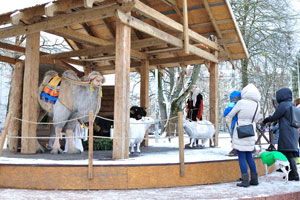 An outdoor nativity scene with animals on Cathedral square attracts attention of visitors