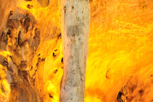 Shiva lingam is a natural stalagmite