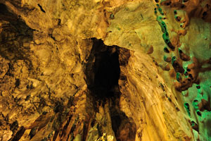 The limestone forming Batu Caves is said to be around 400 million years old