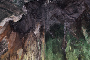 There are various undeveloped caves which contain a diverse range of cave inhabitants, such as fruit bats