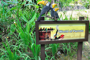 Signboard in front of the entrance to “World of Parrots”