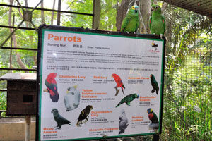Information board about parrots right after the entrance to “World of Parrots”