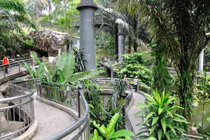 Bird park houses more than 3000 birds representing more than 200 species in an enclosed aviary