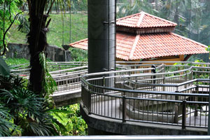There are many elevated pedestrian bridges in the Waterfall Aviary