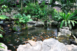 One of the three places where you can feed the fish