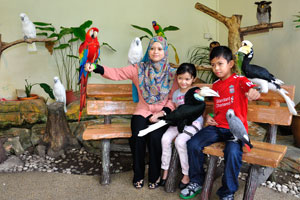 Malaysian mother and her children are posing with the parrots and hornbills