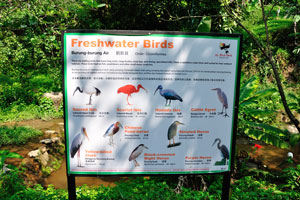 Information board about the freshwater birds