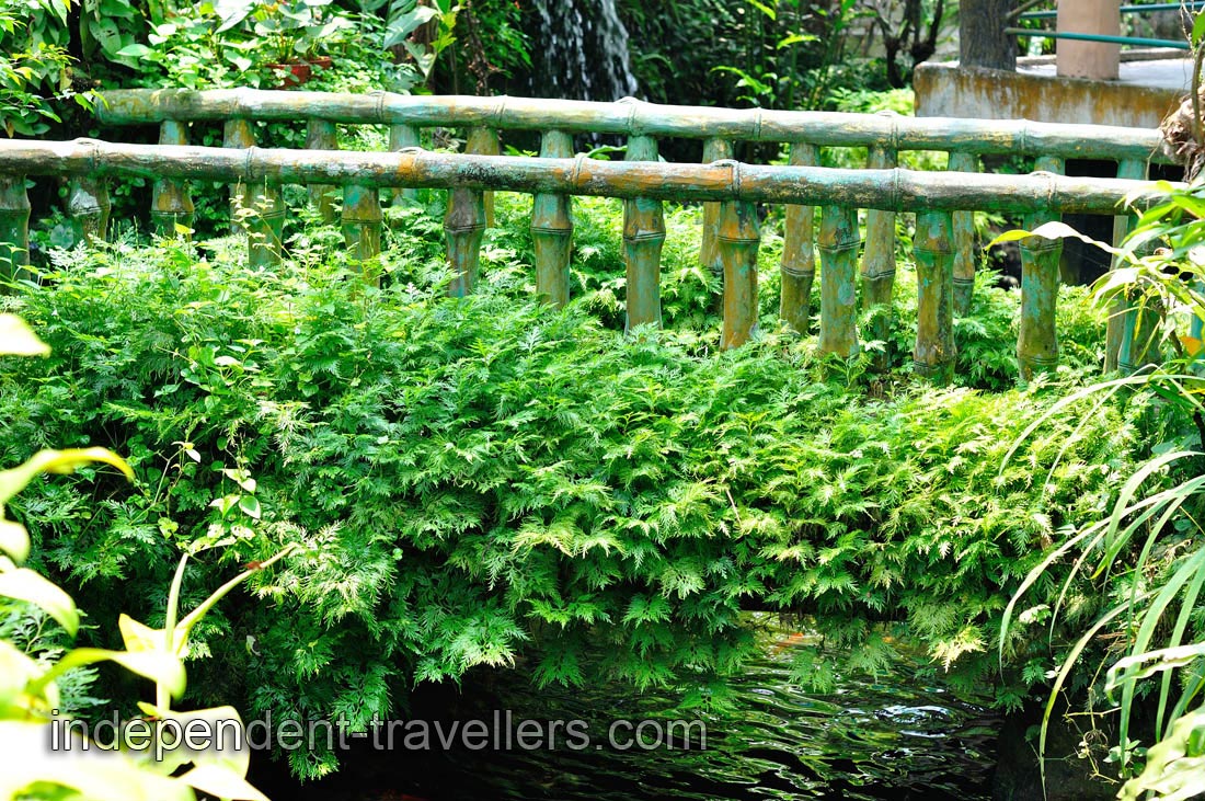 One would enjoy walking through this park, which is nicely decorated