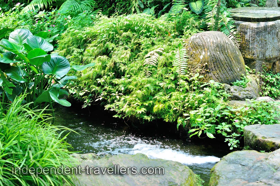 An awesome tropical garden, which is full of wonderful butterflies and exotic critters