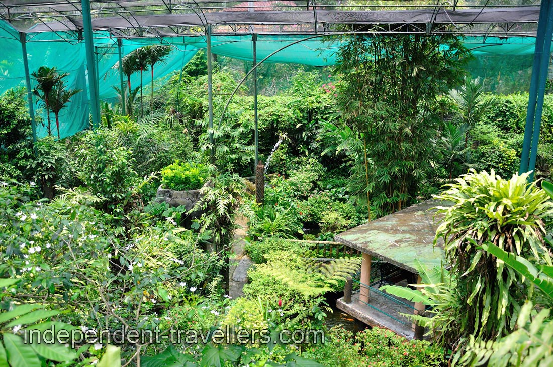 Park is designed in such a way that you will constantly find new species of butterfly at every turn