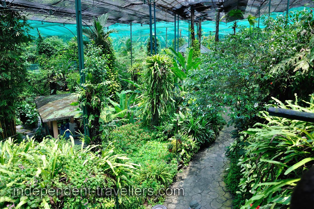 Butterfly park has a net above it so no breeze inside