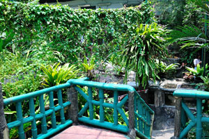 A trip to KL Butterfly Park has to be combined with KL Bird Park which is in a close proximity