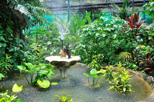 Small water fountain keeps humid atmosphere inside the enclosure