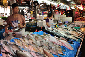 An amazing place to see a real glimpse of Asia, market is full of fresh fish