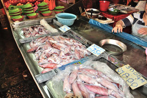 Fresh squids cost from 7 to 8 Malaysian ringgits per half a kg