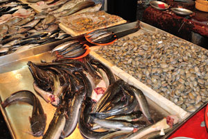 Fresh eels and seafood shells for sale