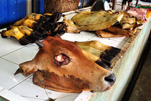 The amount of unusual and bizarre food is unbelievable, everything from cows heads to live eels