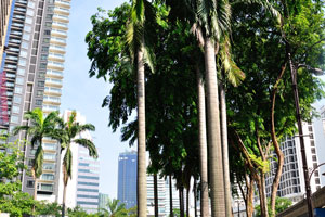 “Menara Dion” signpost on the Jalan Sultan Ismail street