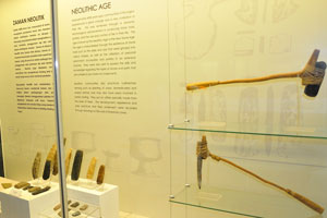 Gallery “A” traces the evolution in the earth's formation: Neolithic age